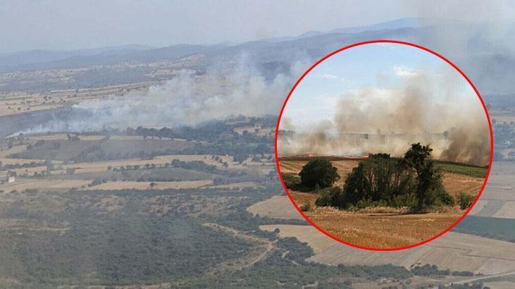 Çanakkale'de tarım arazisinde çıkan yangın kontrol altında